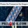 Dragon Power Pills viagra3